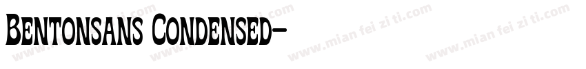 Bentonsans Condensed字体转换